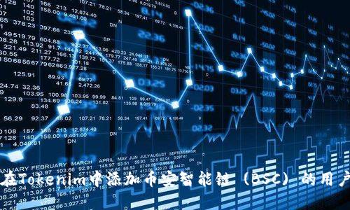 如何在Tokenim中添加币安智能链 (BSC) 的用户指南