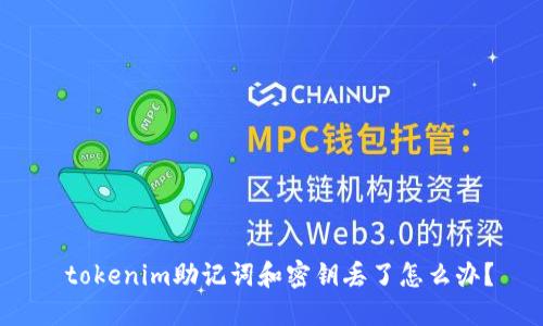  tokenim助记词和密钥丢了怎么办？