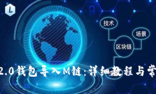 如何将IM 2.0钱包导入M链：详细教程与常见问题解析