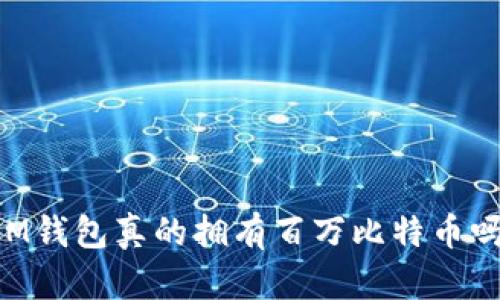 BM钱包真的拥有百万比特币吗？