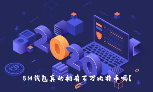 BM钱包真的拥有百万比特币吗？