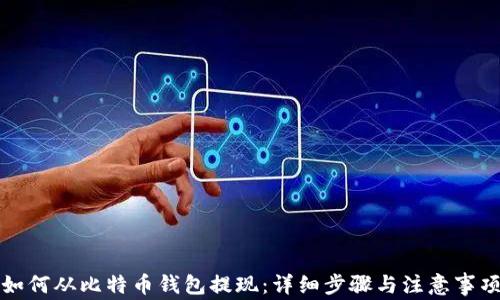 
如何从比特币钱包提现：详细步骤与注意事项
