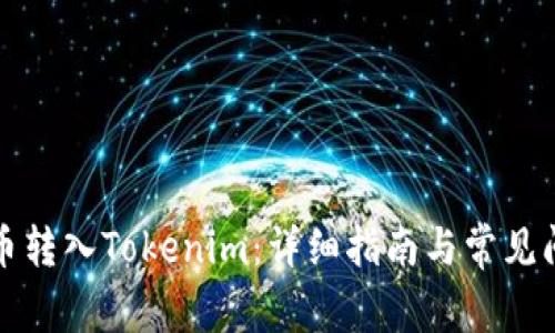 如何将币转入Tokenim：详细指南与常见问题解答