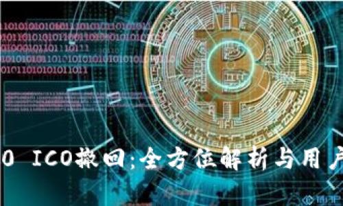 IM2.0 ICO撤回：全方位解析与用户指南
