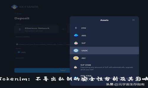 Tokenim: 不导出私钥的安全性分析及其影响