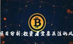 Tokenim项目分析：投资者需