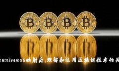 Tokenimeos映射后：理解和运