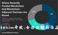 高仿Tokenim开发：全方位解