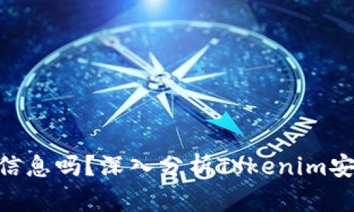 Tokenim会泄露信息吗？深入分析Tokenim安全性与隐私保护