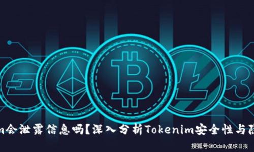 Tokenim会泄露信息吗？深入分析Tokenim安全性与隐私保护