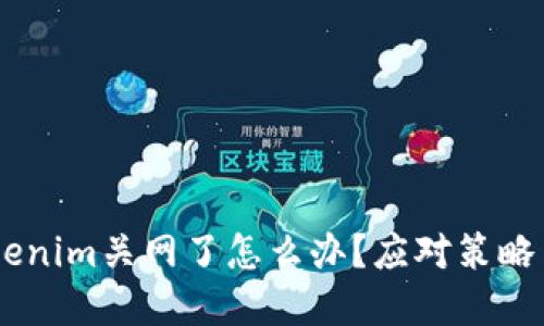 hibaotiTokenim关网了怎么办？应对策略与解决方案