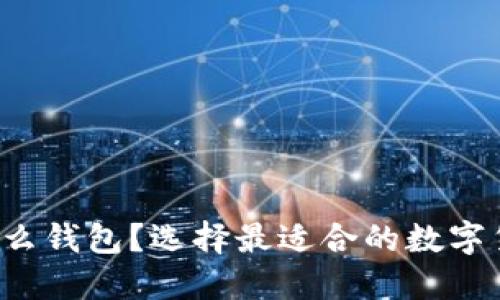  狗狗币用什么钱包？选择最适合的数字货币钱包指南