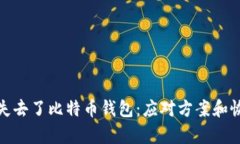 : 当你失去了比特币钱包：应对方案和恢复方法