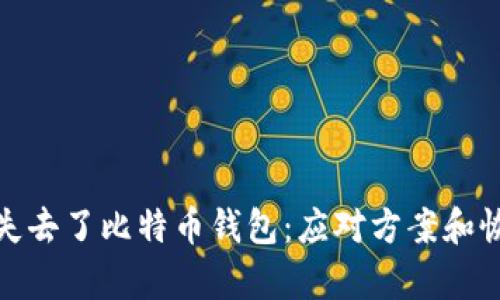 : 当你失去了比特币钱包：应对方案和恢复方法
