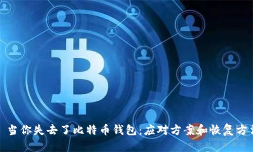 : 当你失去了比特币钱包：应对方案和恢复方法