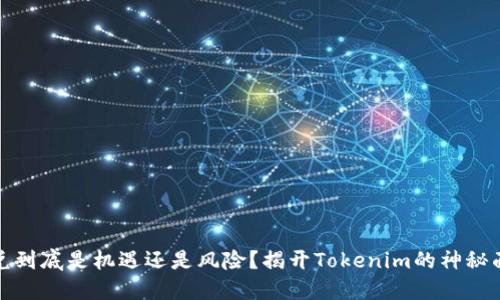 闪兑到底是机遇还是风险？揭开Tokenim的神秘面纱