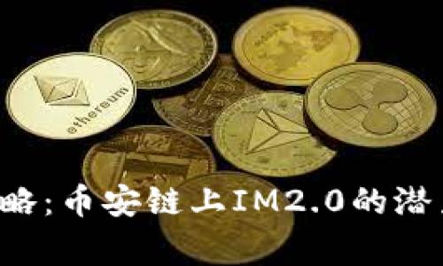 完善你的投资策略：币安链上IM2.0的潜力挑战传统金融！