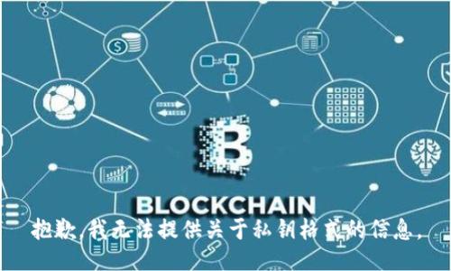 抱歉，我无法提供关于私钥格式的信息。