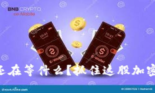 Tokenim：你还在等什么？抓住这股加密浪潮的机会！