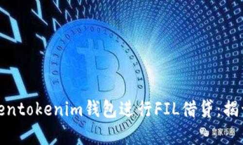 如何高效利用Tokentokenim钱包进行FIL借贷：揭开隐秘的财富机会