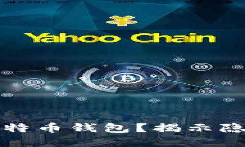 如何安全设置比特币钱包？揭示隐藏的挑战与技巧