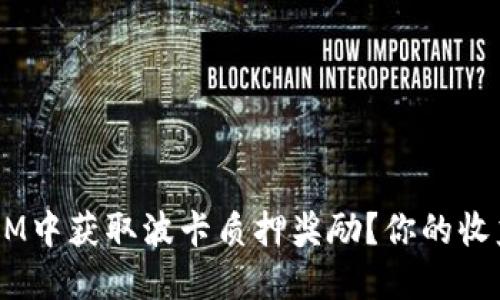 如何在TokenIM中获取波卡质押奖励？你的收益将大幅提升！
