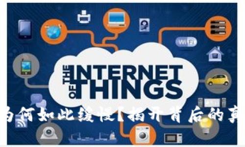 Tokenim转账为何如此缓慢？揭开背后的真相与解决之道