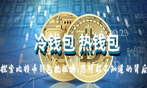 深入探索比特币钱包数据块：您可能不知道的背后故事
