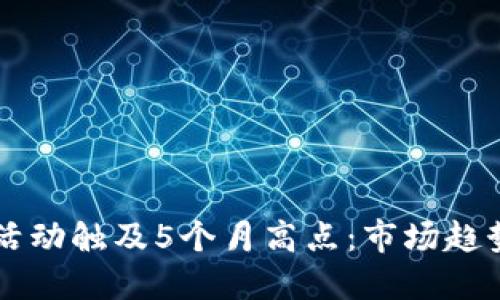 比特币钱包活动触及5个月高点：市场趋势与未来展望