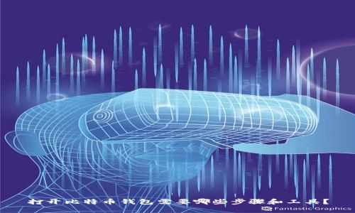 打开比特币钱包需要哪些步骤和工具？