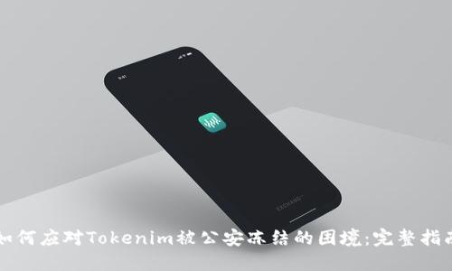 如何应对Tokenim被公安冻结的困境：完整指南