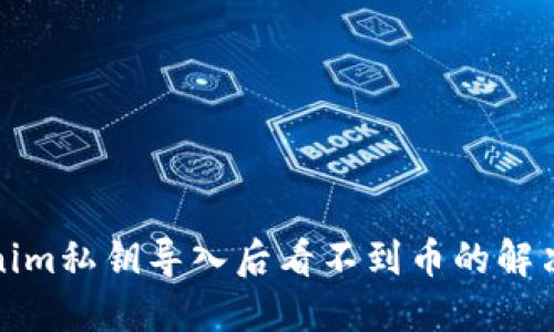 Tokenim私钥导入后看不到币的解决方案