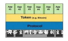 Tokenim支持哪些主网？全面