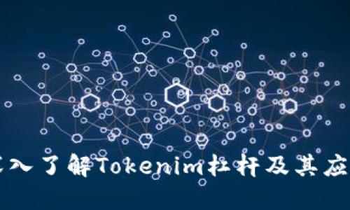 深入了解Tokenim杠杆及其应用