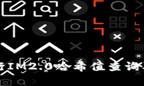 如何高效进行IM2.0哈希值查询及其应用解析