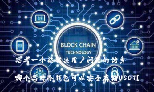 思考一个能解决用户问题的优秀

哪个品牌冷钱包可以安全存储USDT？