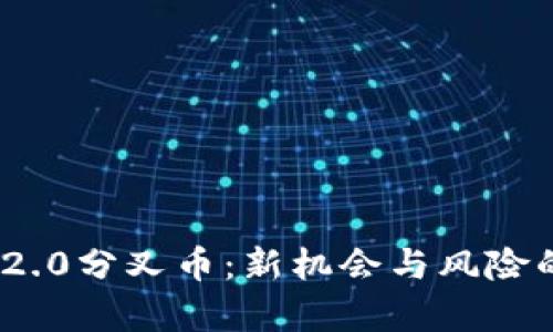 imToken 2.0分叉币：新机会与风险的全面解析