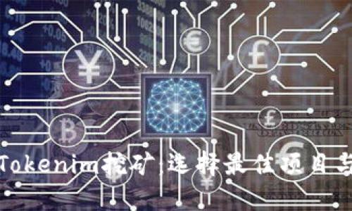 详解Tokenim挖矿：选择最佳项目与策略