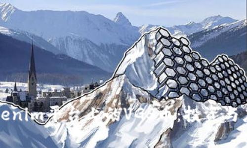 深入了解Tokenim平台上的VGS币：投资与应用前景分析