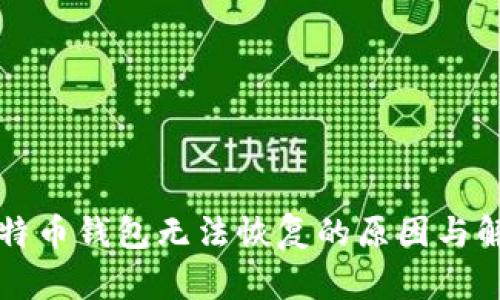 闪电比特币钱包无法恢复的原因与解决方案